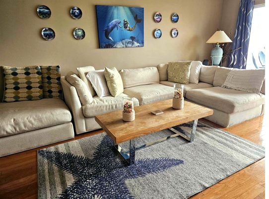 Living area surfaces verified clean